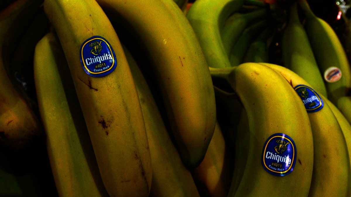 chiquita brands pago us17 millones a paramilitares en uraba durante casi una decada web 51