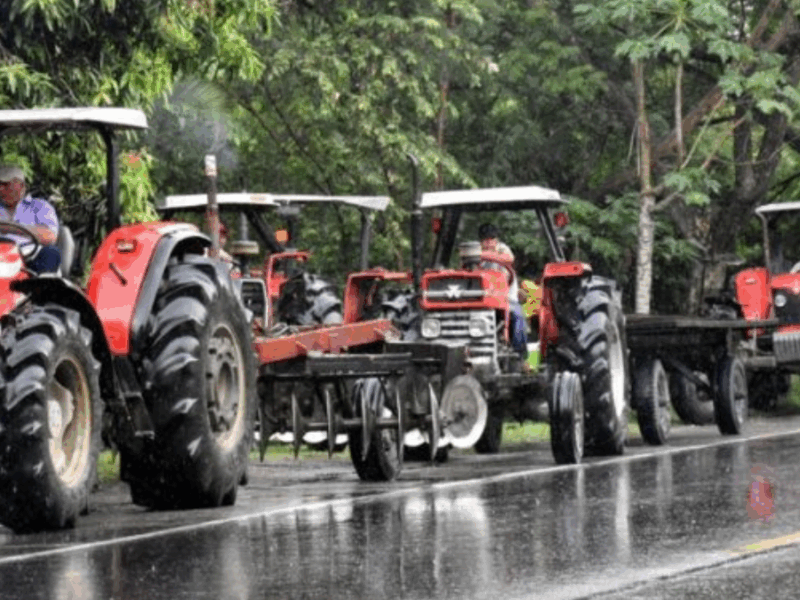 el gobierno se sienta con los arroceros tras dias de bloqueos web 33