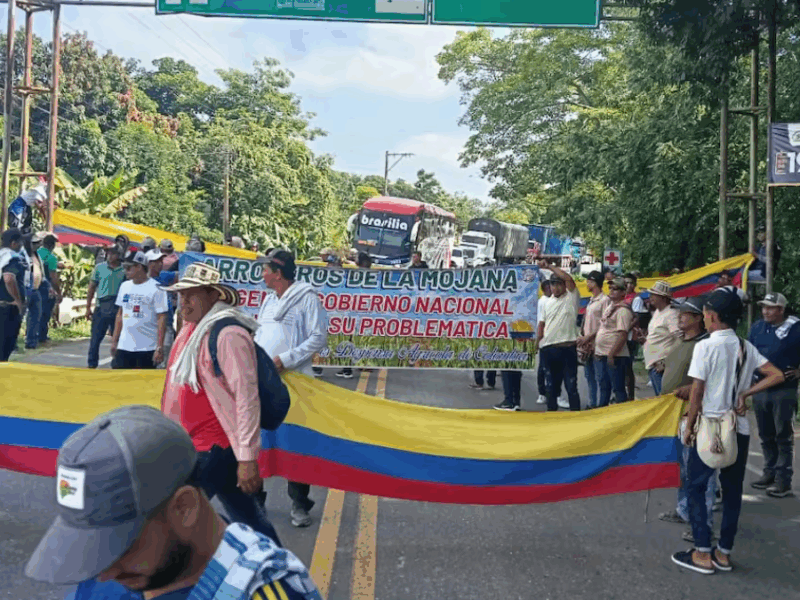 gobierno y arroceros alcanzan acuerdo fin del paro y nuevas medidas para el sector web 53