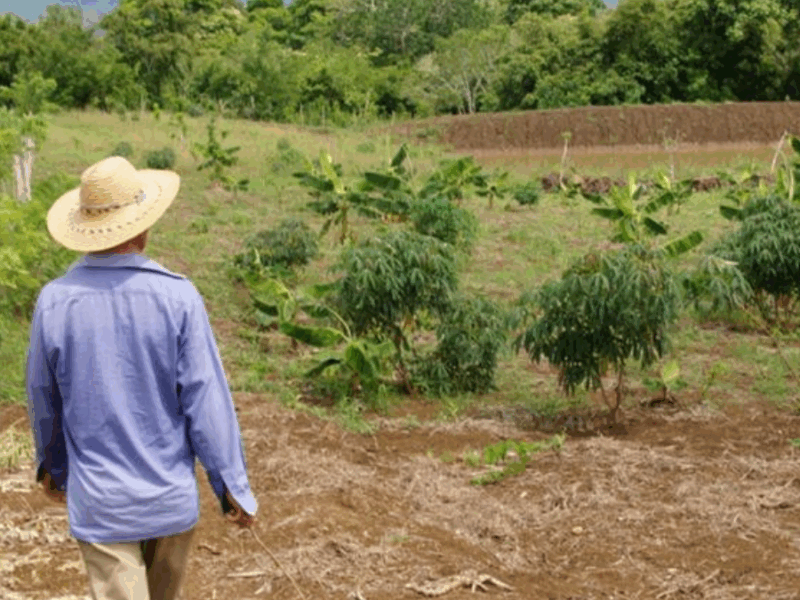 la contraloria general de la republica establecio 6 hallazgos fiscales por 13 694 millones en auditoria financiera a la unidad de restitucion de tierras urt web 50