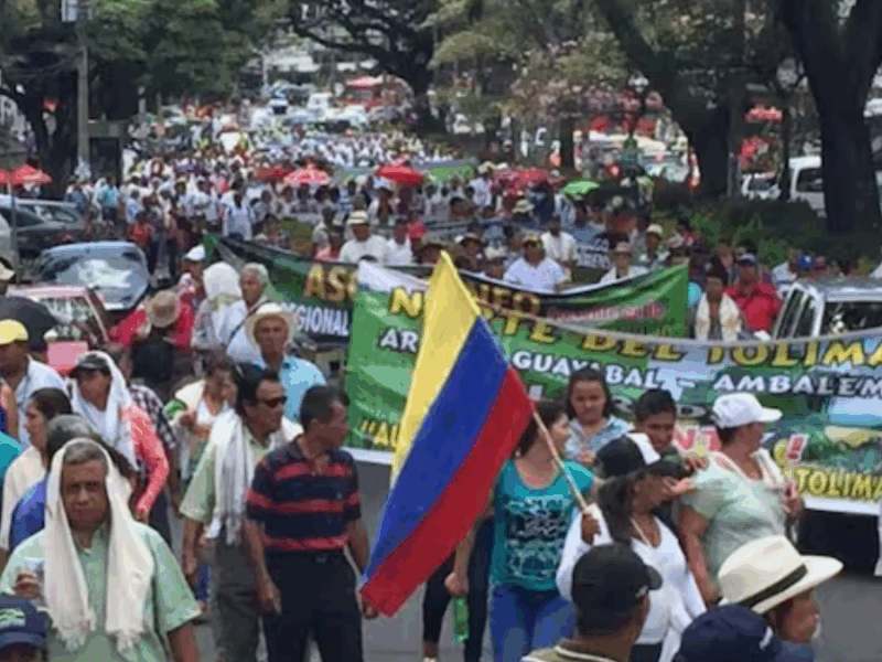 paro arrocero continua productores se levantan de la mesa por ausencia de la ministra de agricultura web 37