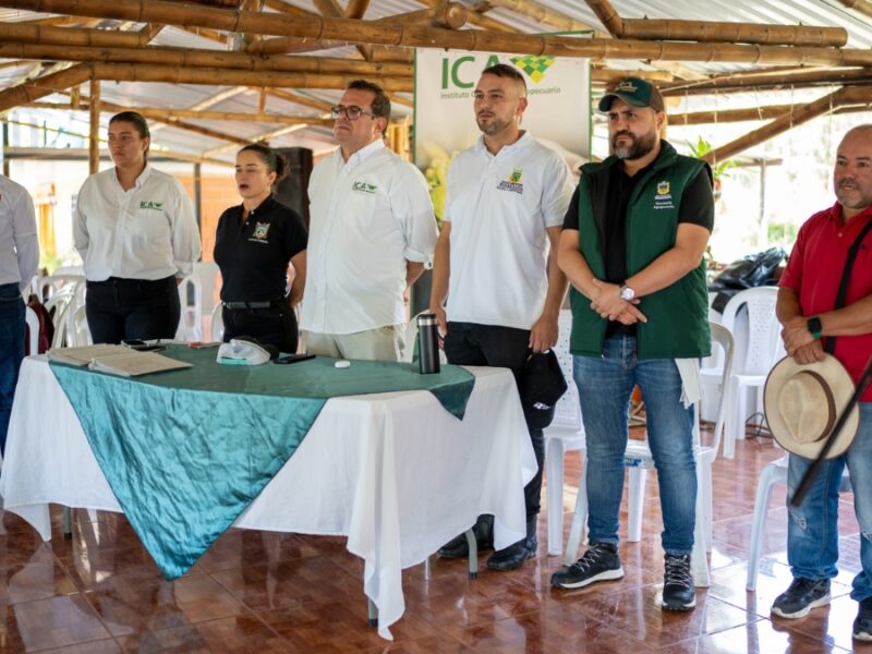 Risaralda certificó 21 predios libres de brucelosis y tuberculosis Bovina 27 risaralda certifico 21 predios libres de brucelosis y tuberculosis bovina copia de web 2025 07 01t131044.727