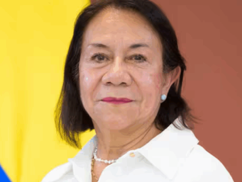 rosa villavicencio asume la cancilleria en encargo mientras se define nuevo titular web 2