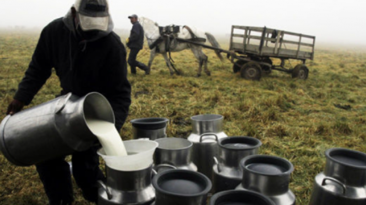 bloqueos en boyaca ponen en riesgo el suministro de leche en colombia web 2025 08 06t131421.204