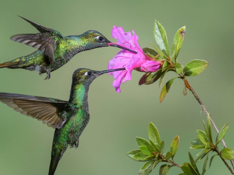 borrador automatico copia de web 2025 08 06t233041.901