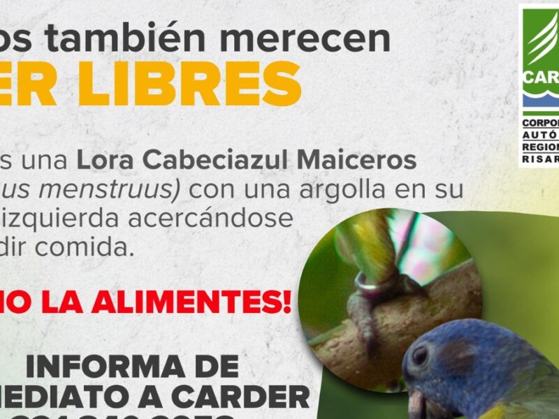 Ellos también merecen ser libres