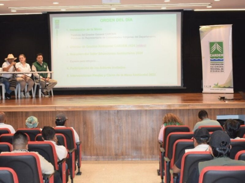 borrador automatico copia de web 2025 08 26t222227.778