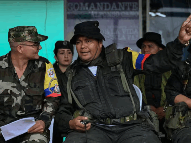 borrador automatico web 16