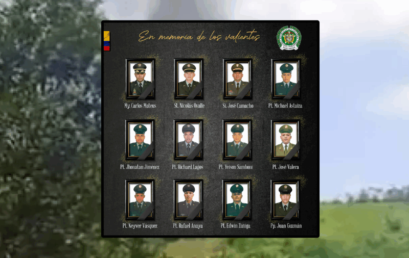 borrador automatico web 24