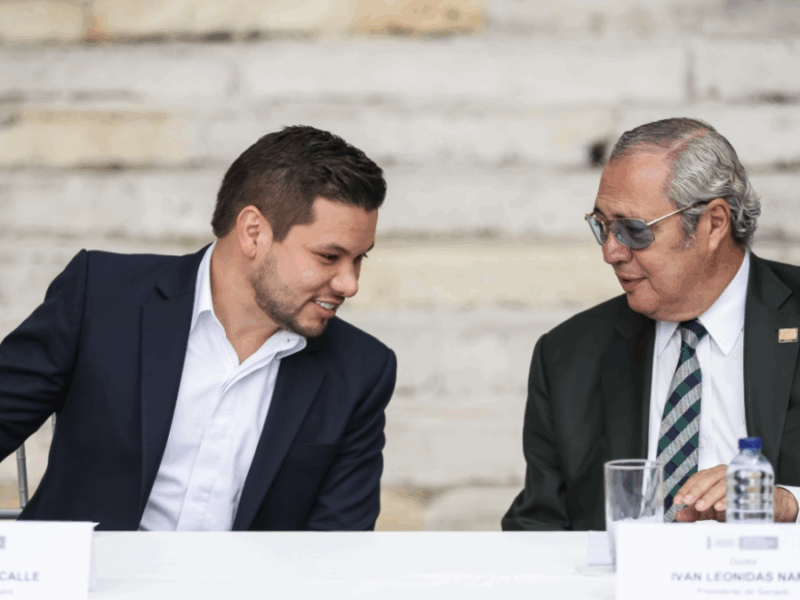 borrador automatico web 39