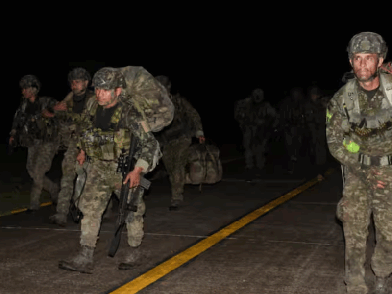 borrador automatico web 43