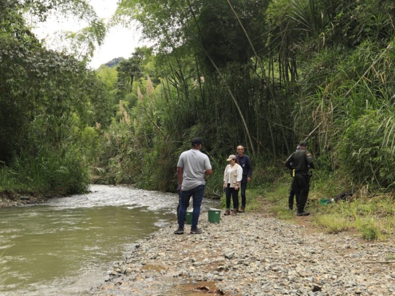 la carder sigue su lucha en contra de la mineria criminal en risaralda copia de web 2025 08 28t223714.666
