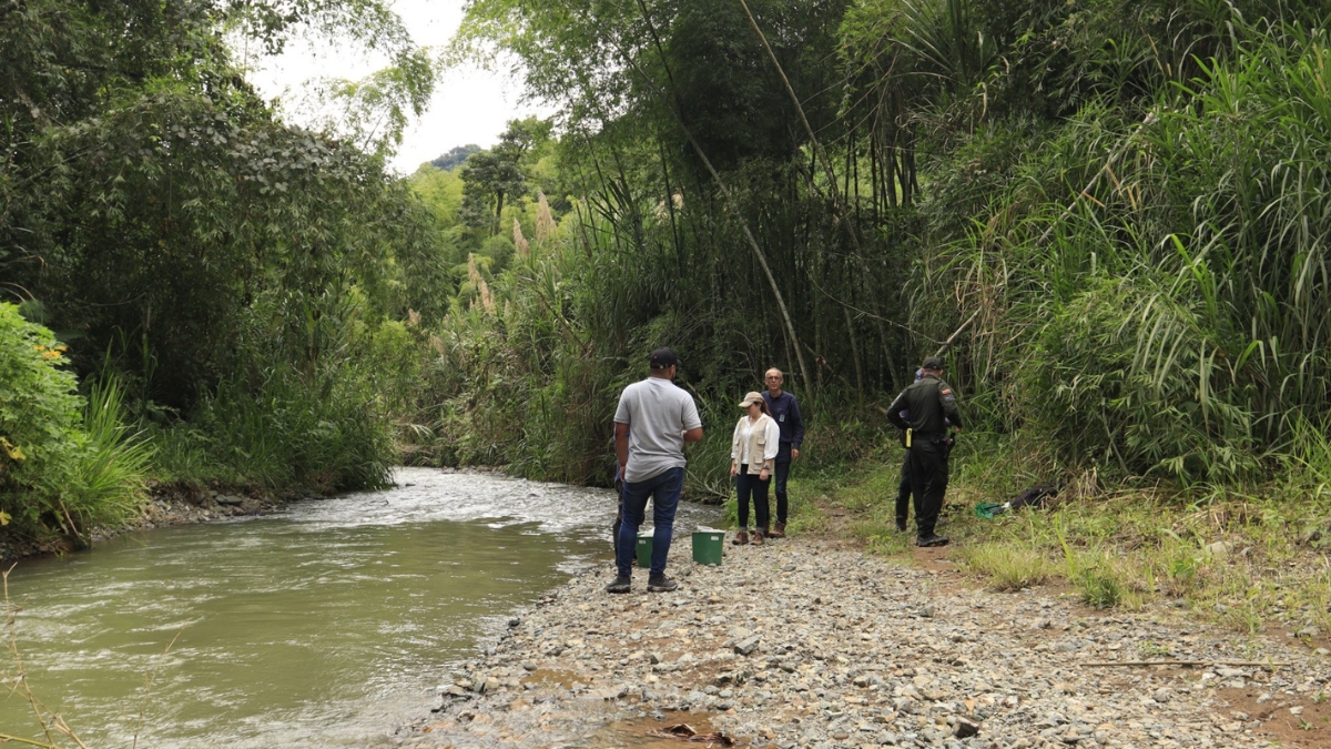 la carder sigue su lucha en contra de la mineria criminal en risaralda copia de web 2025 08 28t223714.666