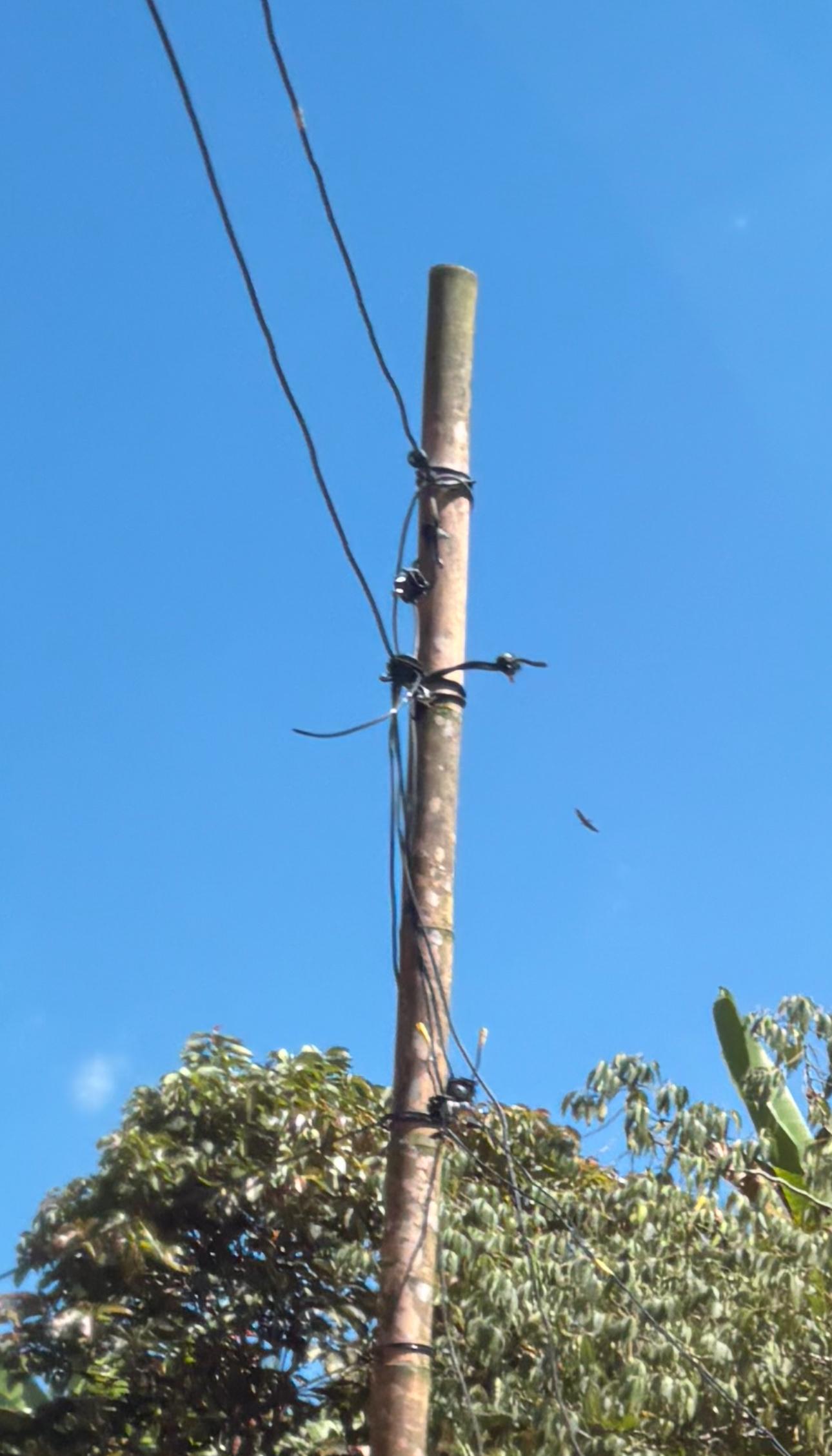 ¿Sin vivienda? Aproveche esta oportunidad de tener casa propia y gratis en Bajos de Bosques de Cuba 10 sin viviendaaproveche esta oportunidad de tener casa propia y gratis en bajos de bosques de cuba whatsapp image 2025 08 01 at 9.19.09 am 1
