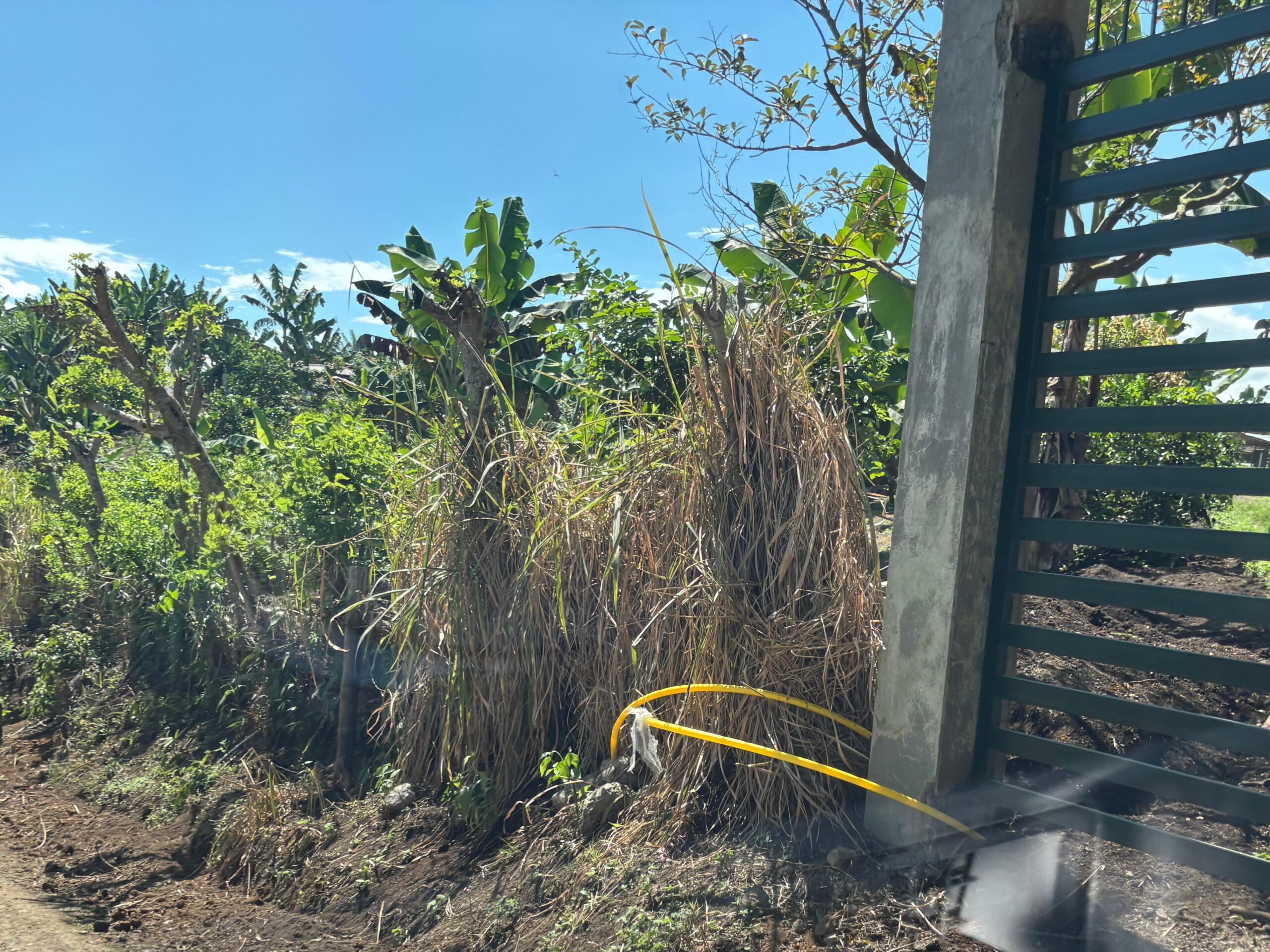 ¿Sin vivienda? Aproveche esta oportunidad de tener casa propia y gratis en Bajos de Bosques de Cuba 9 sin viviendaaproveche esta oportunidad de tener casa propia y gratis en bajos de bosques de cuba whatsapp image 2025 08 01 at 9.19.10 am scaled