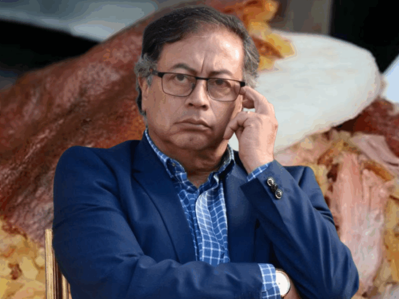 10 millones de toneladas vendidas en japon gustavo petro y las polemicas cifras sobre la venta de lechona en japon web 67