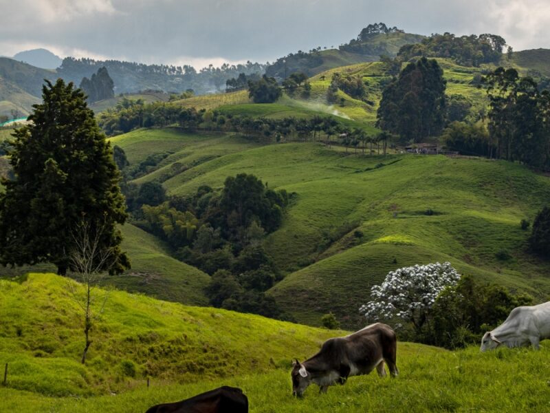 belen de umbria la villa de los vallacanes que lo tiene todo copia de web 2025 09 08t230455.691