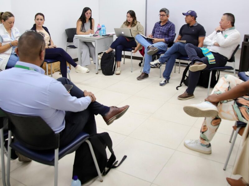 borrador automatico copia de web 2025 09 03t201811.521