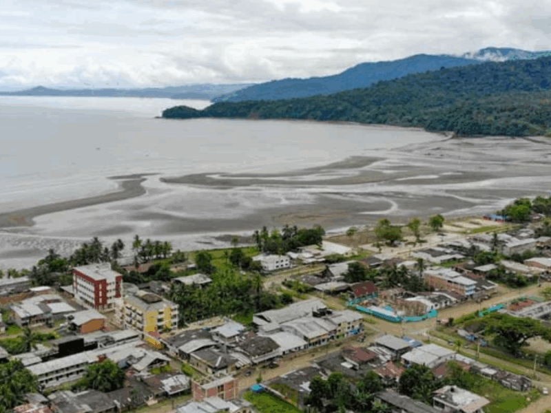 borrador automatico web 13