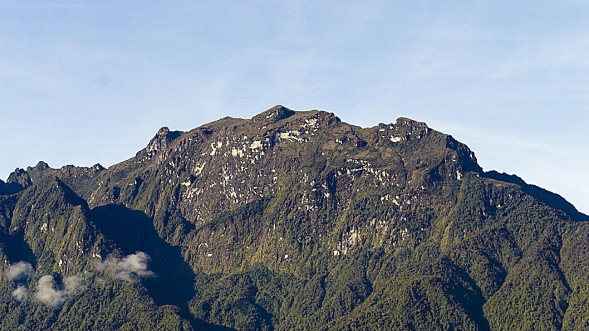descubre pueblo rico el gran pulmon verde del noroccidente de risaralda copia de web 2025 09 09t191959.172