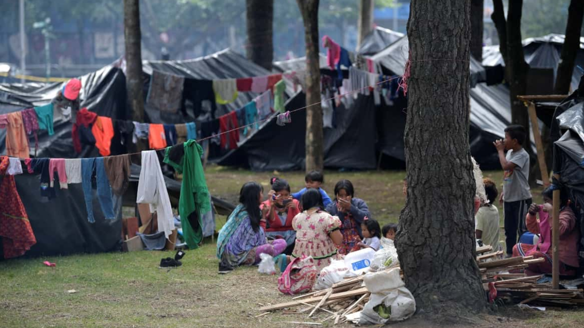 indigenas embera de risaralda recibiran subsidio antes de dejar bogota web 63