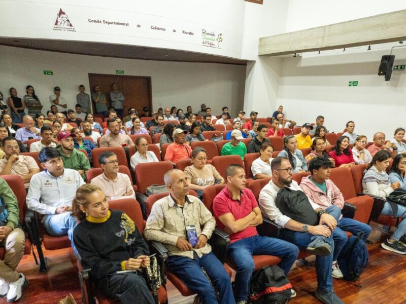 borrador automatico copia de web 2025 10 13t165153.668