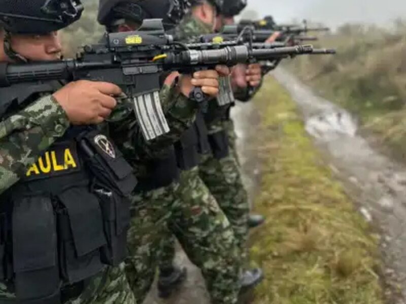 borrador automatico copia de web 2025 10 13t201712.222