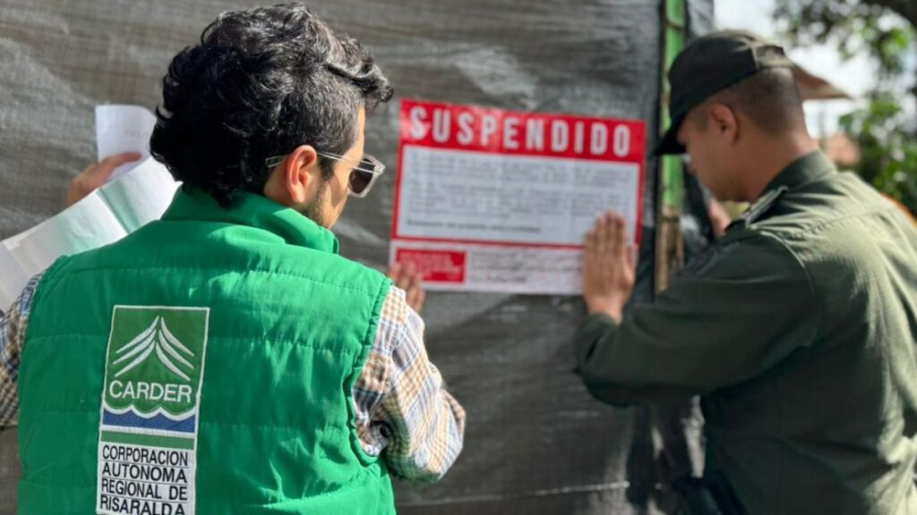 borrador automatico copia de web 2025 10 23t131827.159