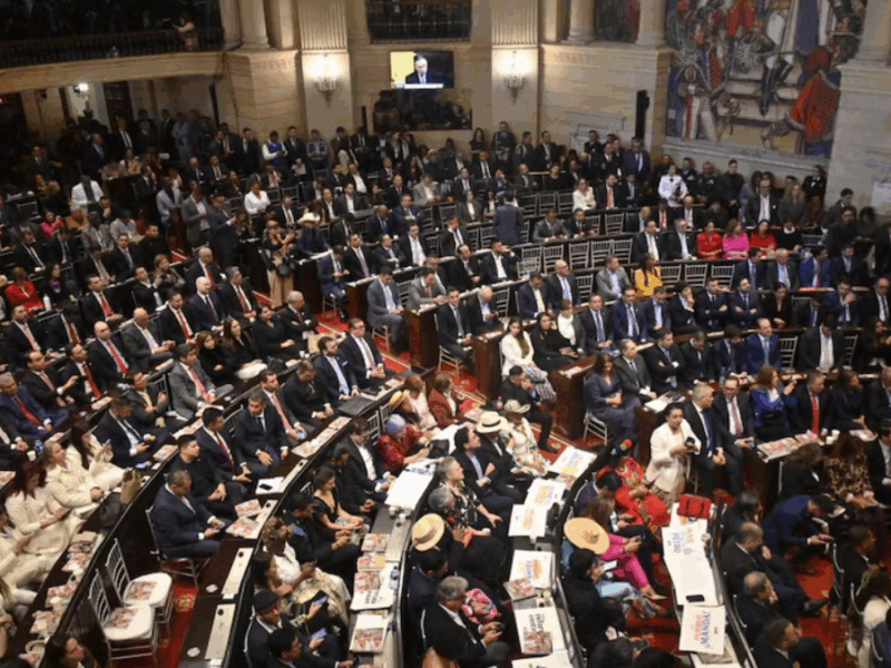 borrador automatico web 14