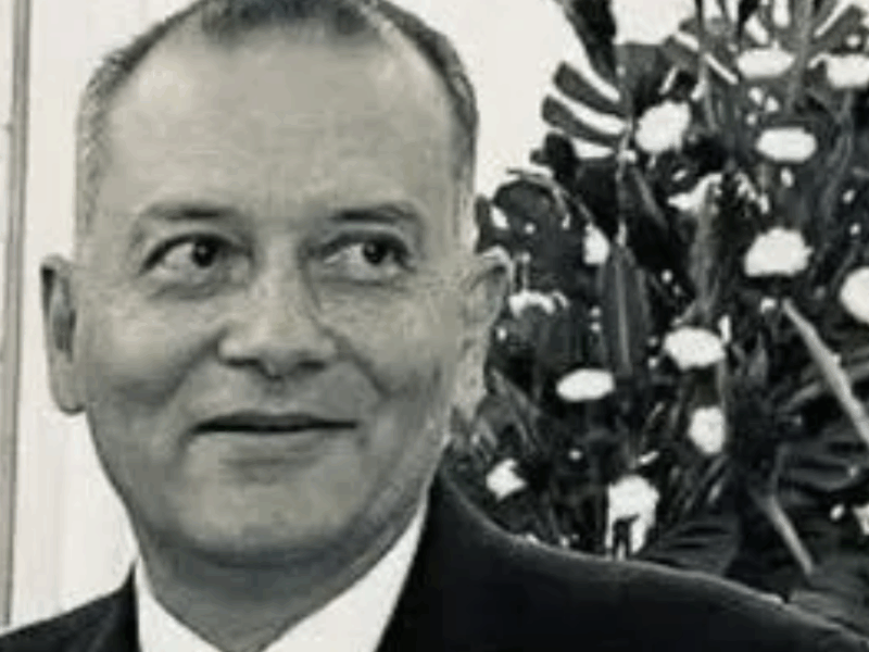 borrador automatico web 17