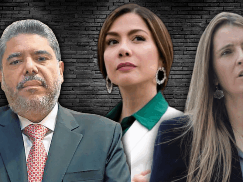 borrador automatico web 22