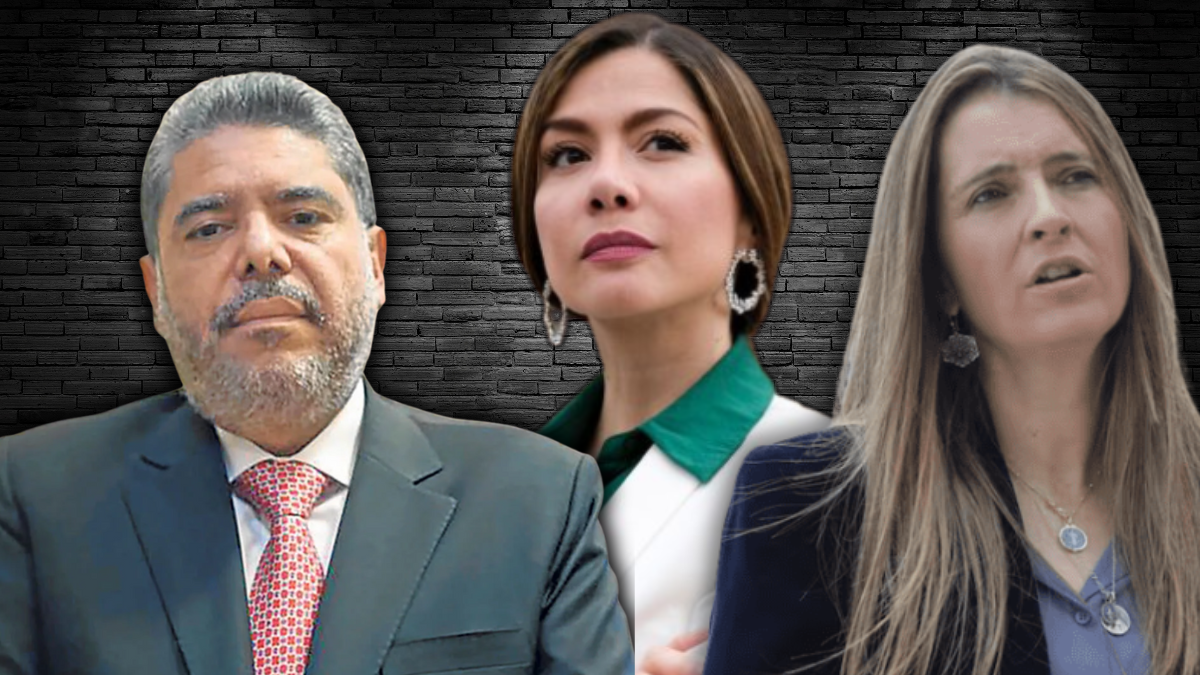 borrador automatico web 22