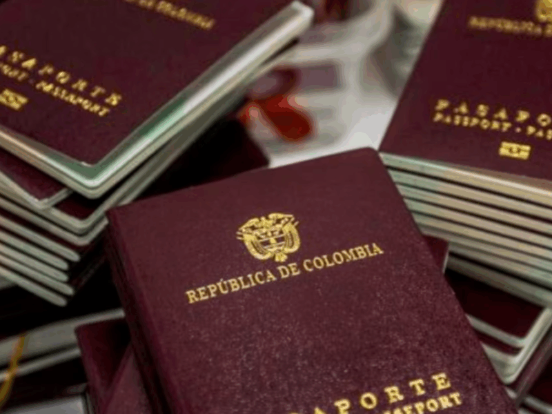 borrador automatico web 28