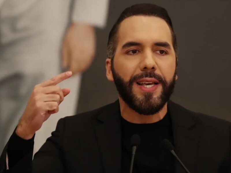 borrador automatico web 3