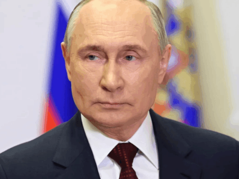 borrador automatico web 30