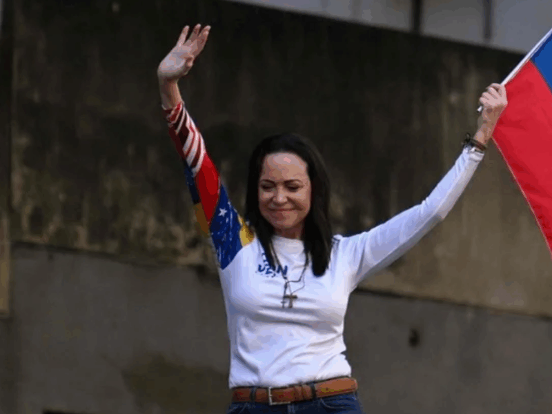 borrador automatico web 43 1