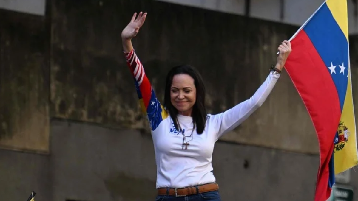 borrador automatico web 43 1