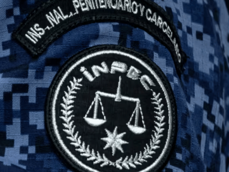 borrador automatico web