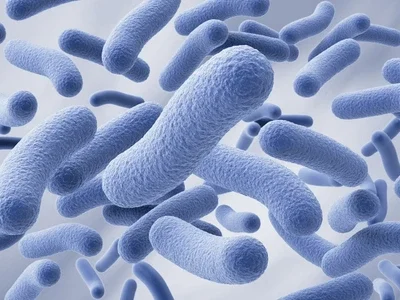 Brotes, capturas y una prófuga: el caso de la micobacteria que conmocionó a Medellín 2 Brotes, capturas y una prófuga: el caso de la micobacteria que conmocionó a Medellín