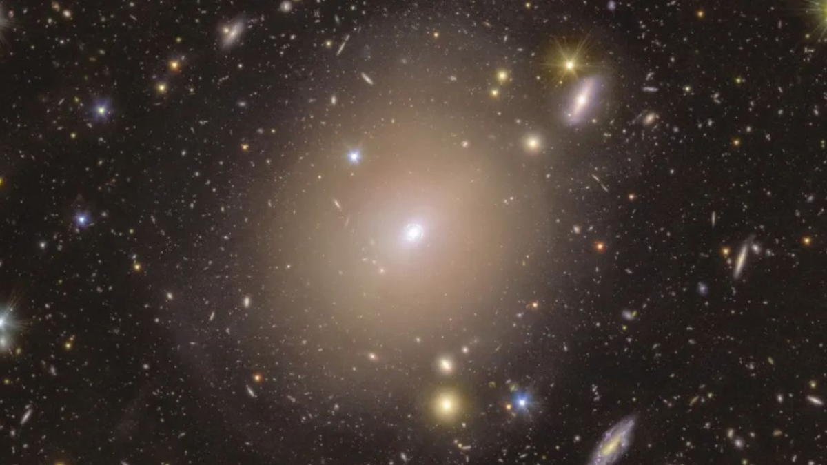 ¿Ha activado la NASA el protocolo de defensa planetaria por el cometa 3i/Atlas? Esto es lo que realmente sucede 1 ha activado la nasa el protocolo de defensa planetaria por el cometa 3iatlas esto es lo que realmente sucede web 69