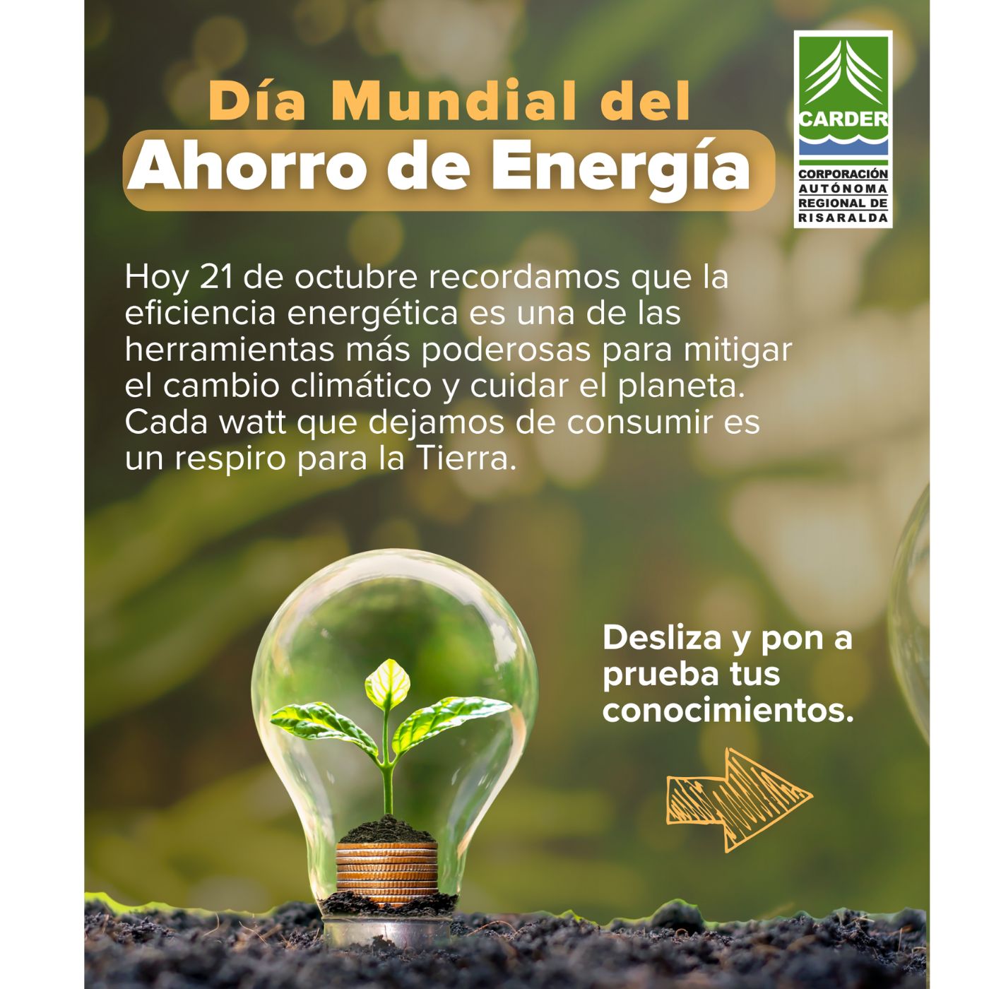 Copia de Sin título (1400 x 1400 px) (1) home copia de sin titulo 1400 x 1400 px 1 1