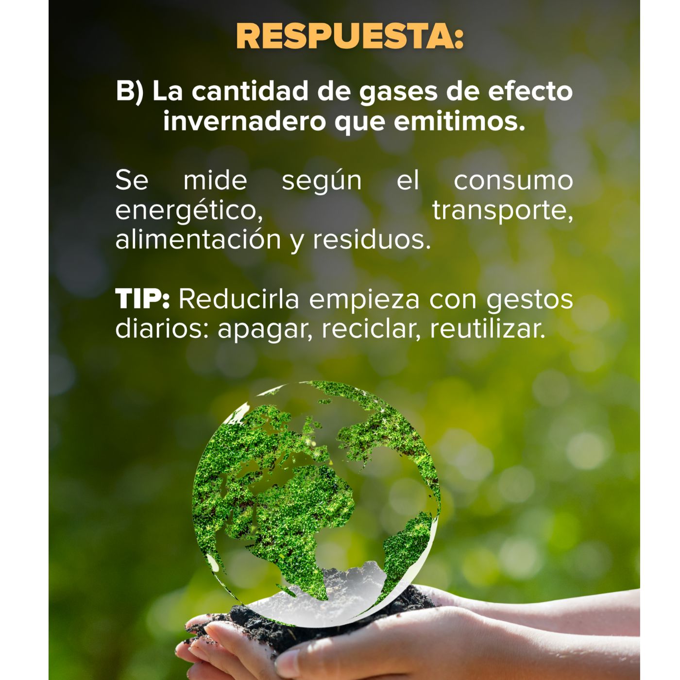 Copia de Sin título (1400 x 1400 px) (2) home copia de sin titulo 1400 x 1400 px 2 1