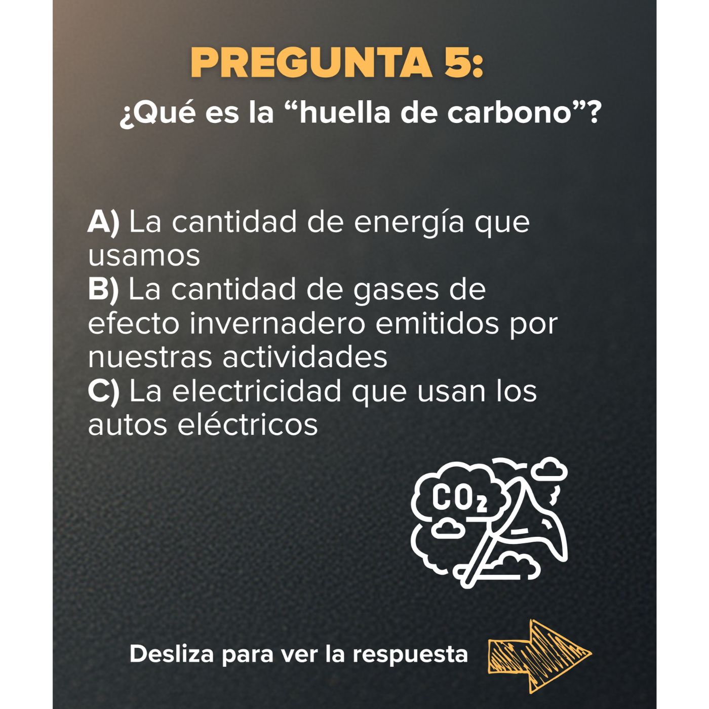 Copia de Sin título (1400 x 1400 px) home copia de sin titulo 1400 x 1400 px 3