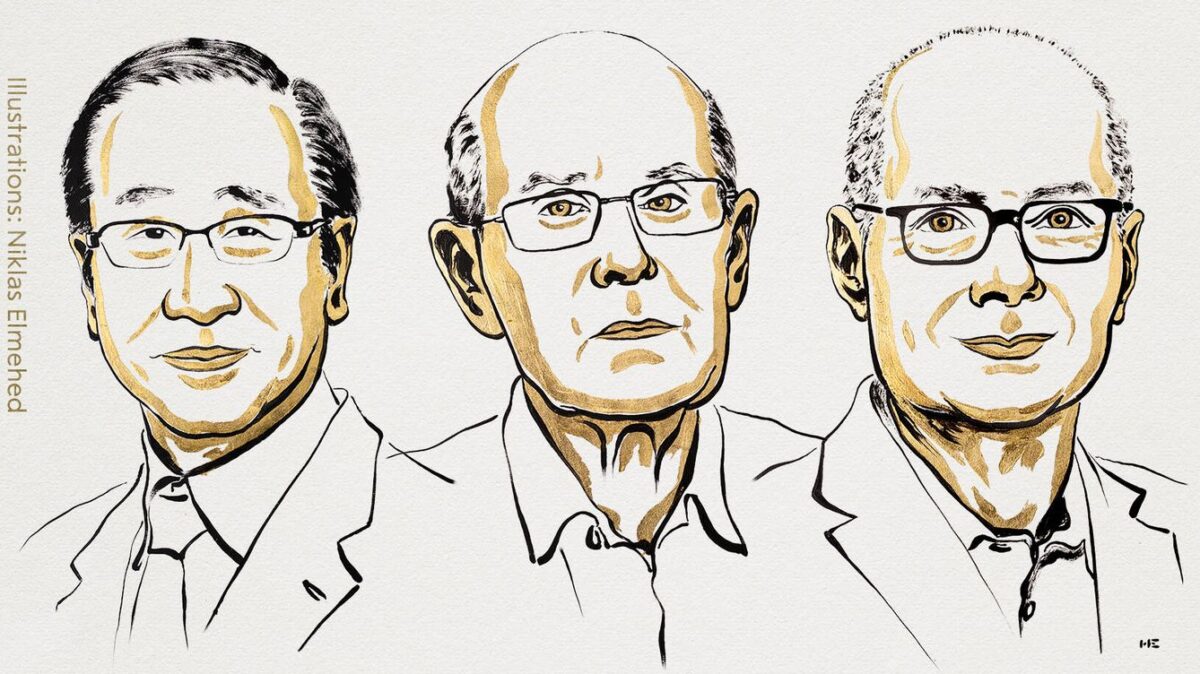 premio nobel de quimica 2025 la revolucion de las estructuras metalorganicas f.elconfidencial.com original 2c9 c77 06b 2c9c7706b826c1ac81187bd62b865803