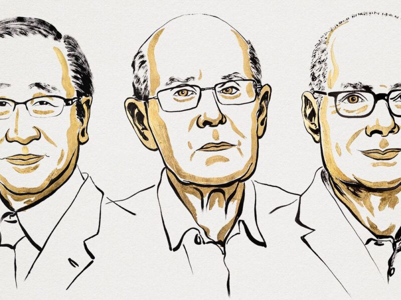 premio nobel de quimica 2025 la revolucion de las estructuras metalorganicas f.elconfidencial.com original 2c9 c77 06b 2c9c7706b826c1ac81187bd62b865803