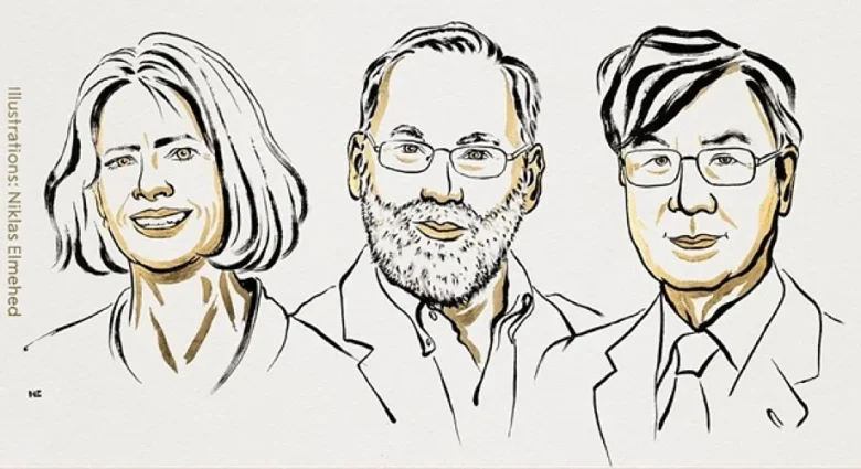 shimon sakaguchi mary brunkow y fred ramsdell el nobel que redibuja la inmunologia moderna 17597433935401