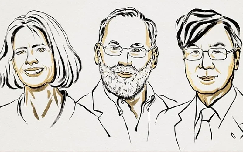 shimon sakaguchi mary brunkow y fred ramsdell el nobel que redibuja la inmunologia moderna 17597433935401