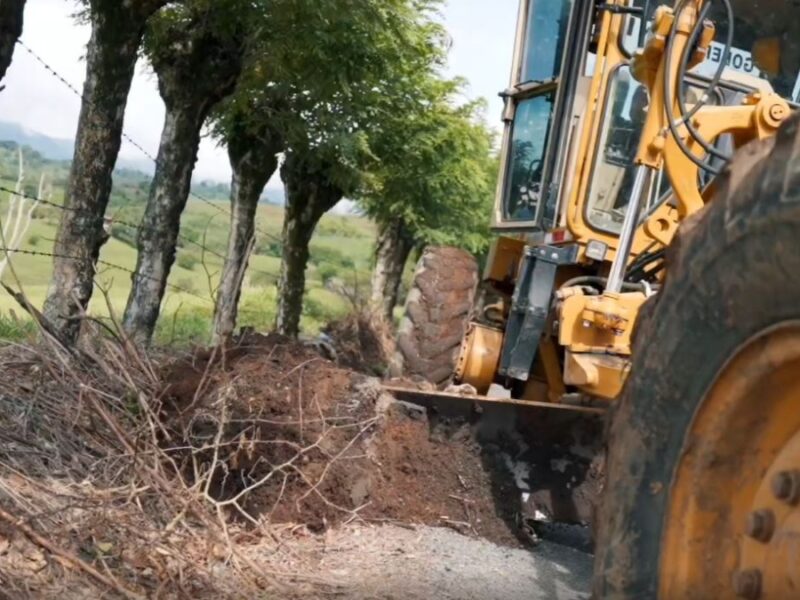 borrador automatico copia de web 2025 11 21t001828.517