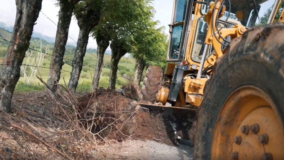 borrador automatico copia de web 2025 11 21t001828.517