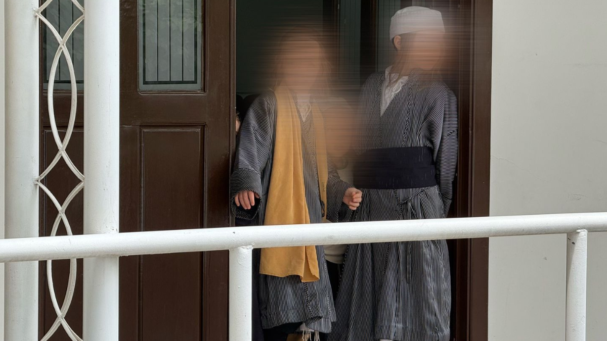 borrador automatico web 1